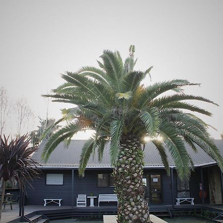 Hugo & Carters Backpackers & Motel Tauranga Buitenkant foto The pool at the hotel