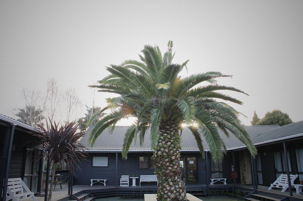 Hugo & Carters Backpackers & Motel Tauranga Buitenkant foto The pool at the hotel