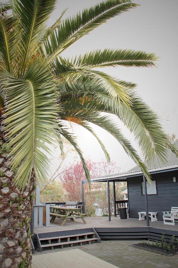 Hugo & Carters Backpackers & Motel Tauranga Buitenkant foto Phoenix canariensis